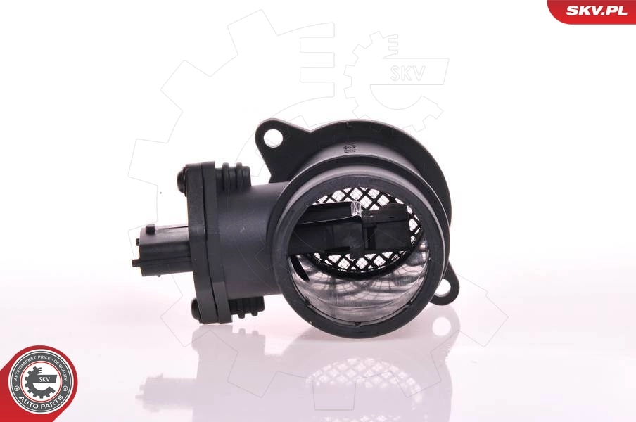 Mass Air Flow Sensor
